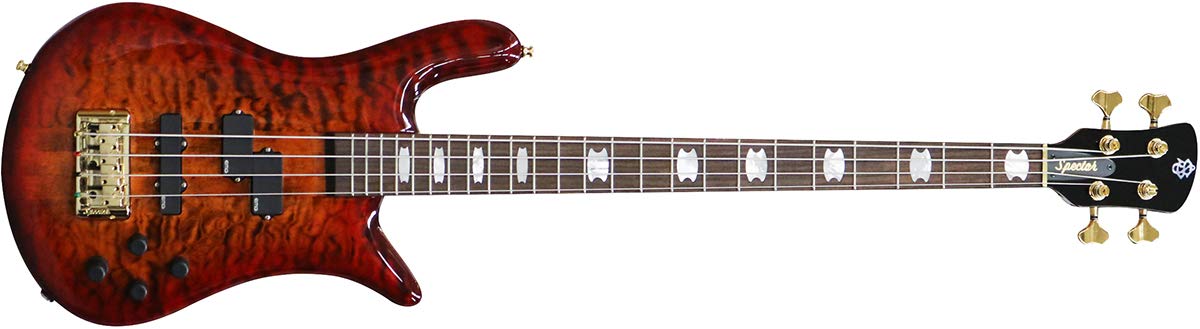 Amazon.co.jp: Spector EURO4 LX RAS LAYER TAM BanG Dream! RAISE A